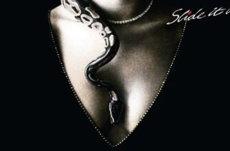 The meaning of the song «Slide It In» by Whitesnake