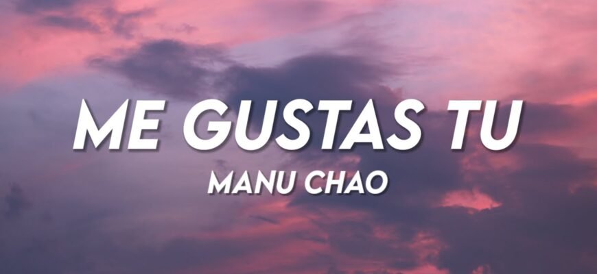 What does the song “Me Gustas Tu - Manu Chao” mean?